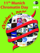 chromatin day poster 2020 icon