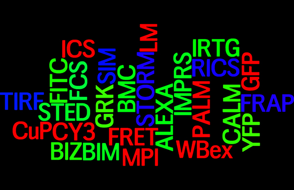 Acronym wordle new klein