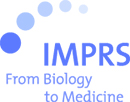 MS_Imprs-Logo_NEU_CMYK130x100