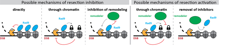 fig 2 pfander