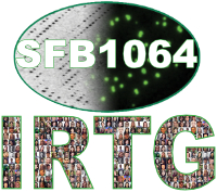 IRTG-SFB Icon