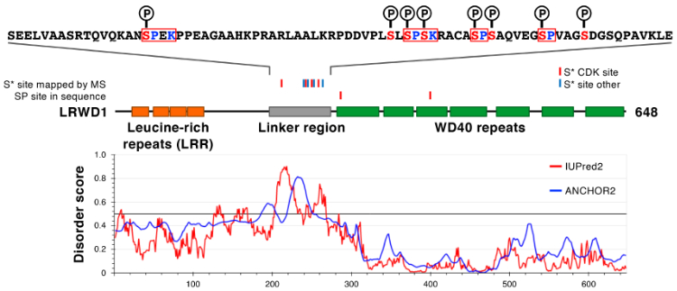 A27_TBartke_LRWD1_p-sites_IDR_Figure_website