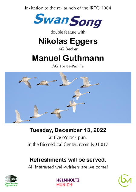 Swan Song Eggers and Guthmann 20221209