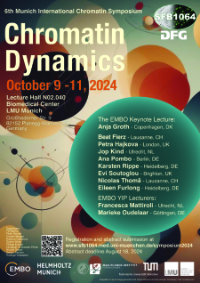 Chromatin Dynamics kandinsky nucleosome AI 20240222_200x