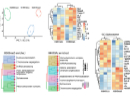 choudhury et al 2024