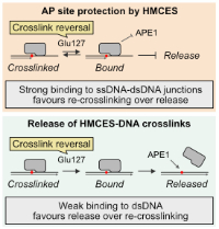 donsbach et al 2023