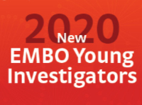 EMBO dec 20 icon