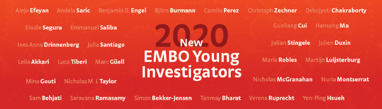 EMBO dec 2020 750x