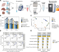 huschet et al 2024