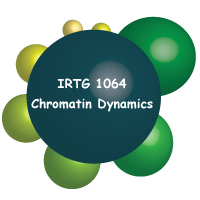 irtg_logo