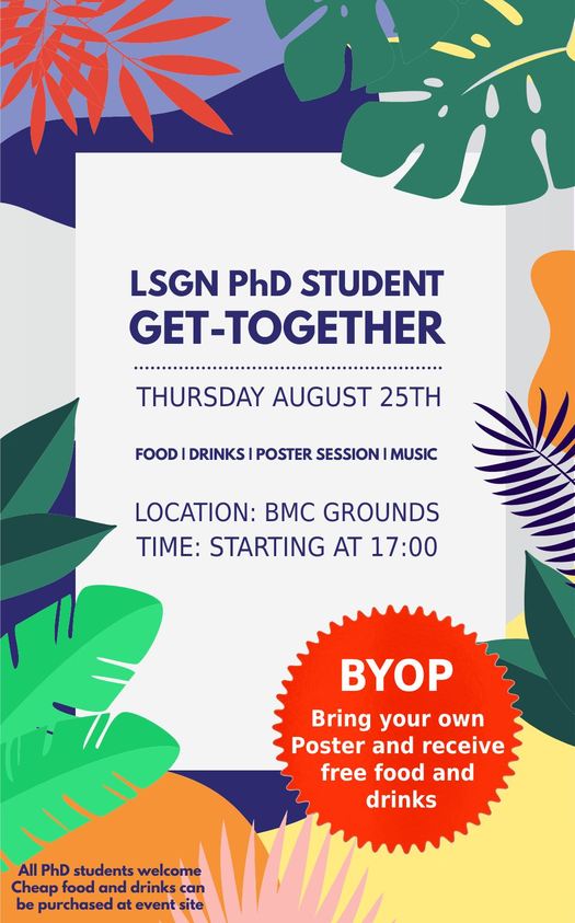 LSGN Poster invite