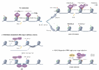 millan-zambrano et al 2022