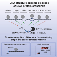 reinking et al 2020