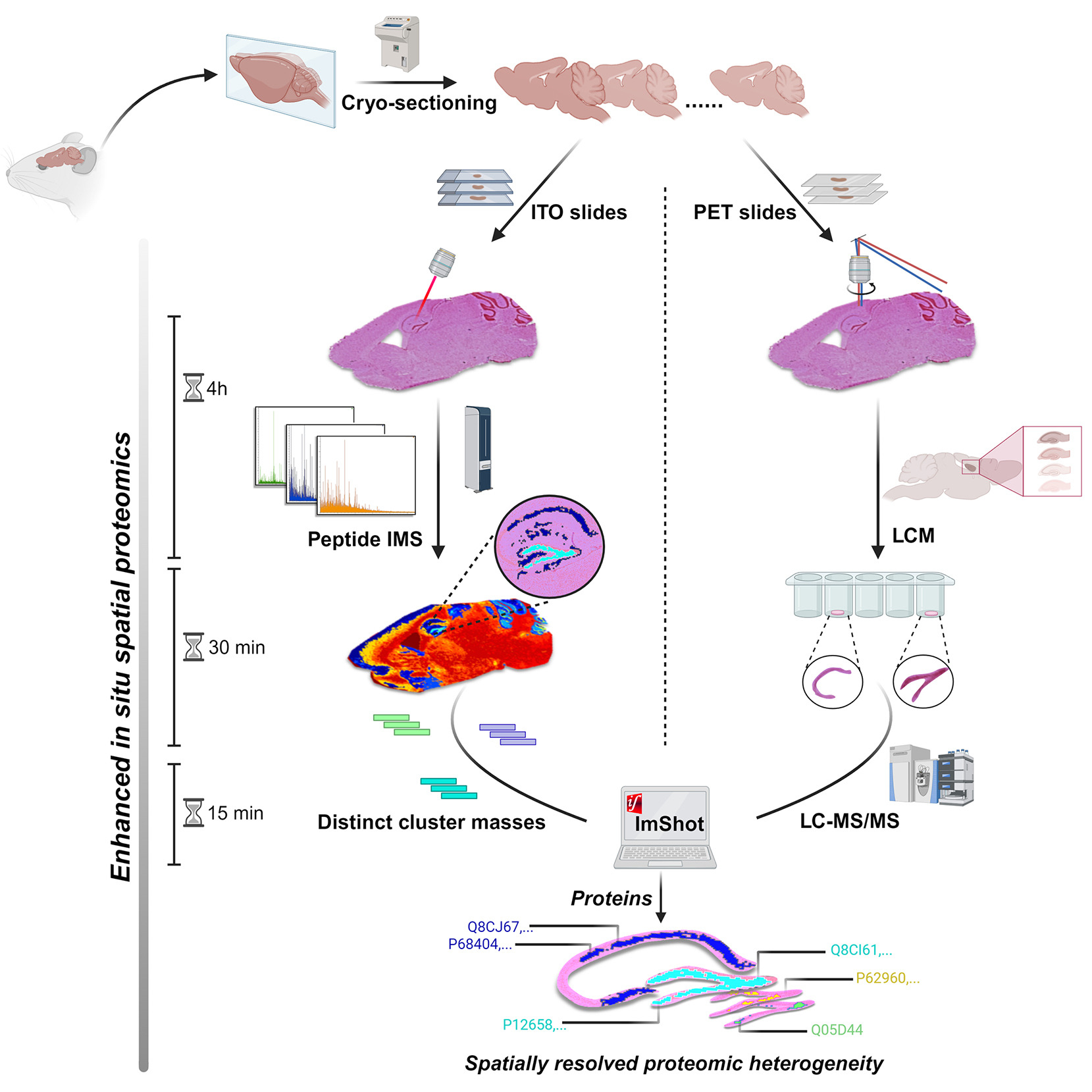 schaefer et al 2024 ga1_lrg