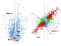 schmaehling et al 2018