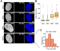 steinek et al biorxiv 2024