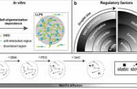 zhang et al 2022