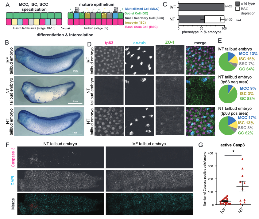 zikmund et al 2024