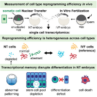zikmund et al 2025